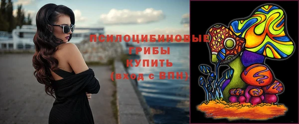 спайс Киреевск