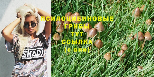 гидропоника Краснотурьинск