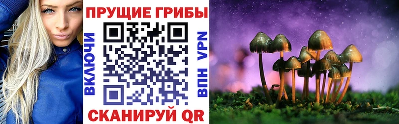 Псилоцибиновые грибы ЛСД  купить наркотики цена  Кинешма 